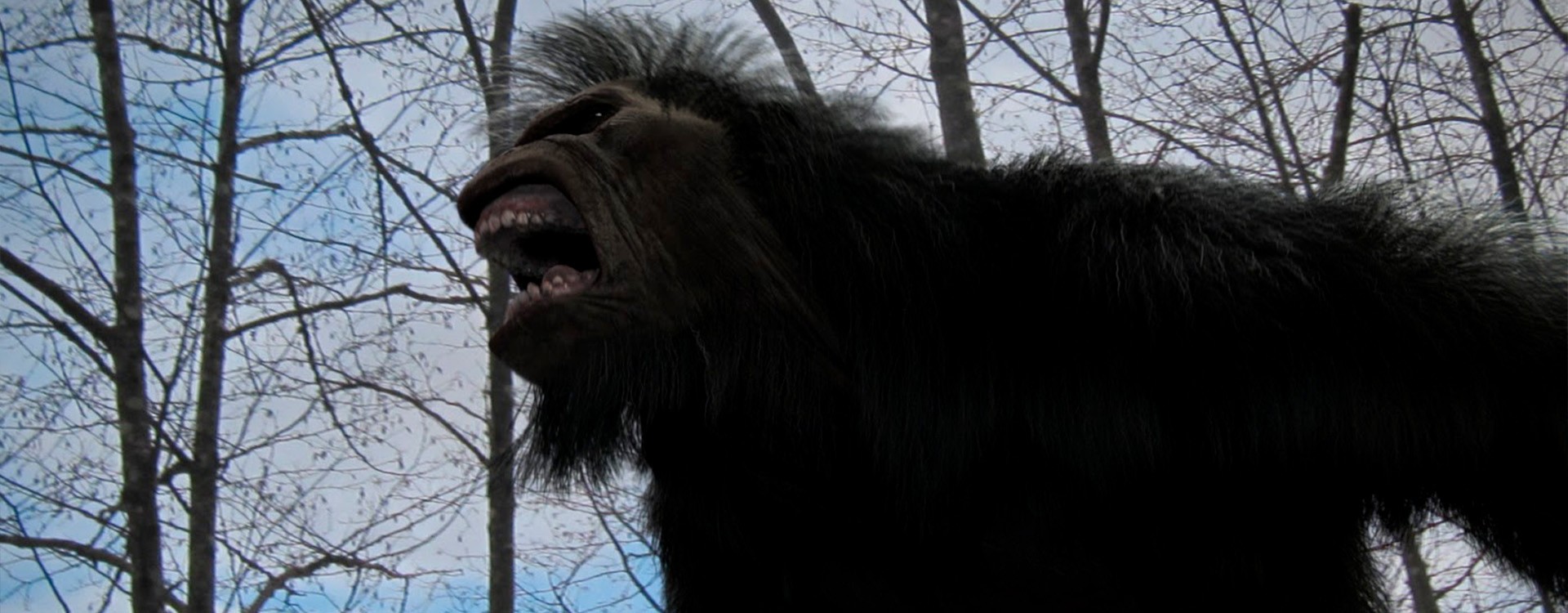 Bigfoot